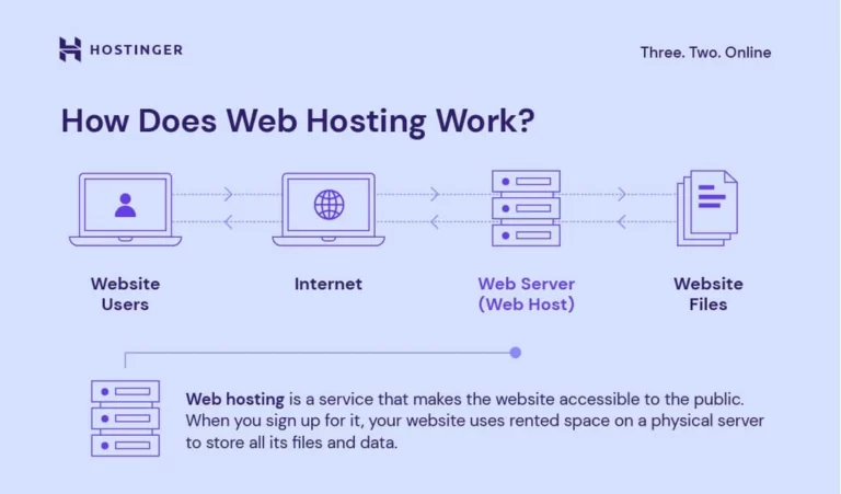 Basics of Website Hosting
